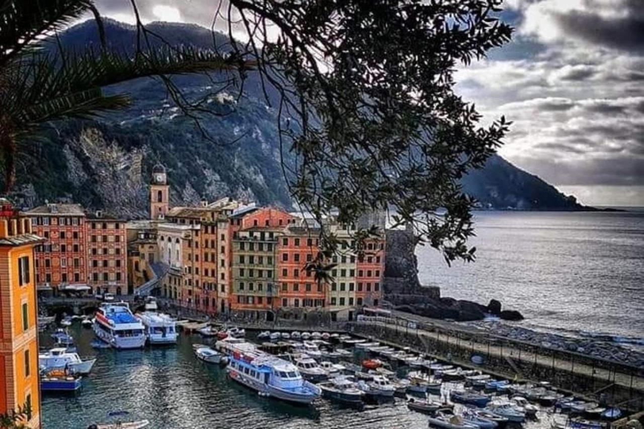Rosablu Vacanza Tra Mare E Parco Di Portofino Camogli Buitenkant foto