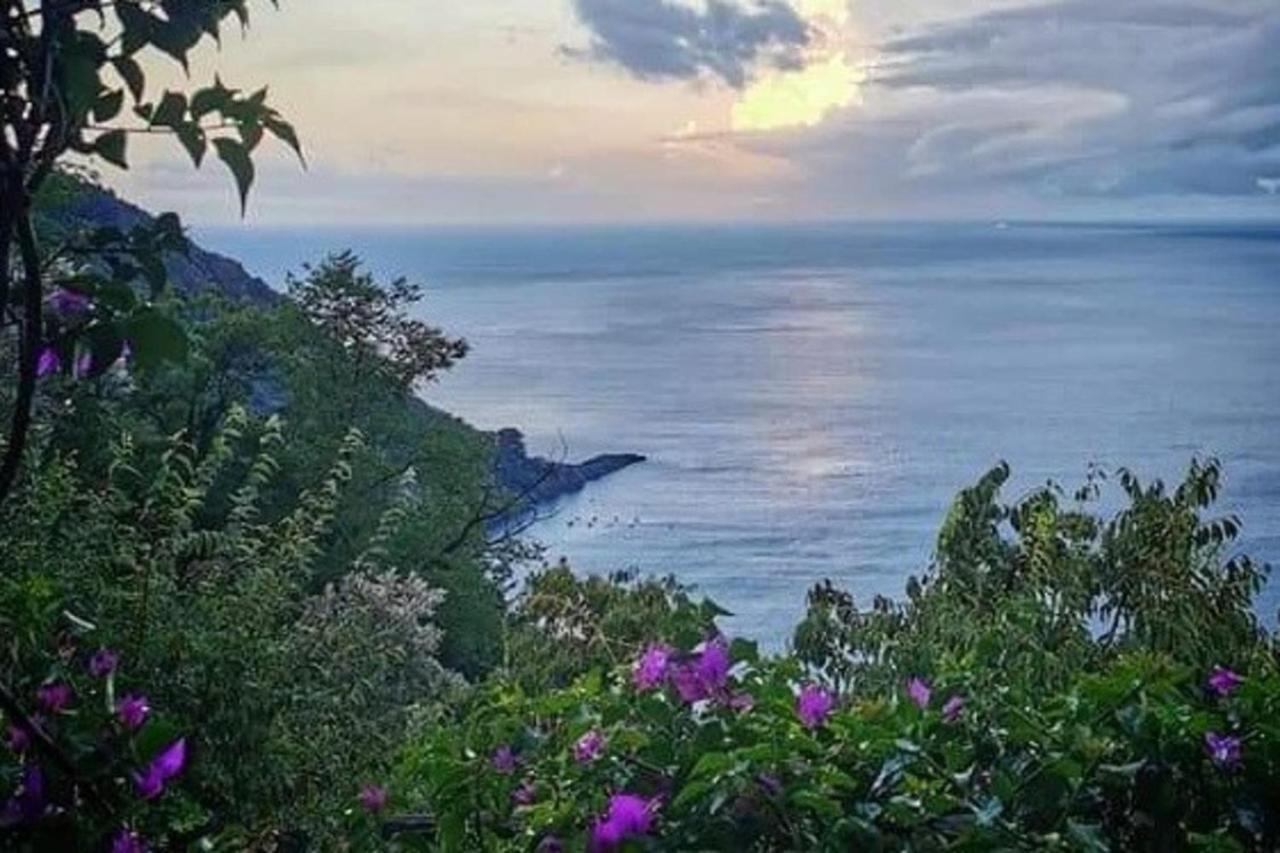 Rosablu Vacanza Tra Mare E Parco Di Portofino Camogli Buitenkant foto