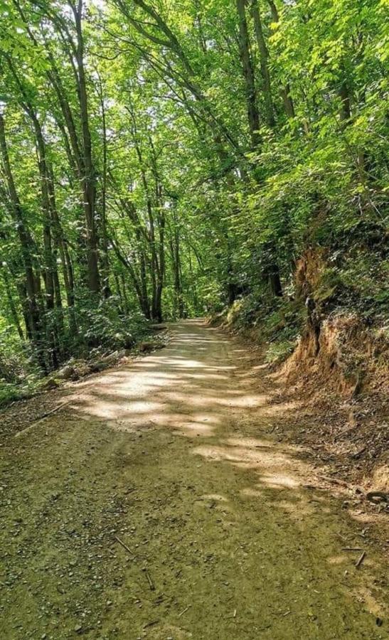 Rosablu Vacanza Tra Mare E Parco Di Portofino Camogli Buitenkant foto