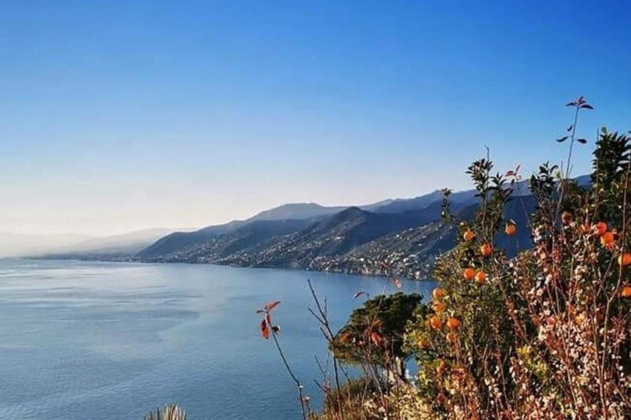 Rosablu Vacanza Tra Mare E Parco Di Portofino Camogli Buitenkant foto